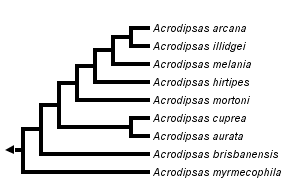 taxon links