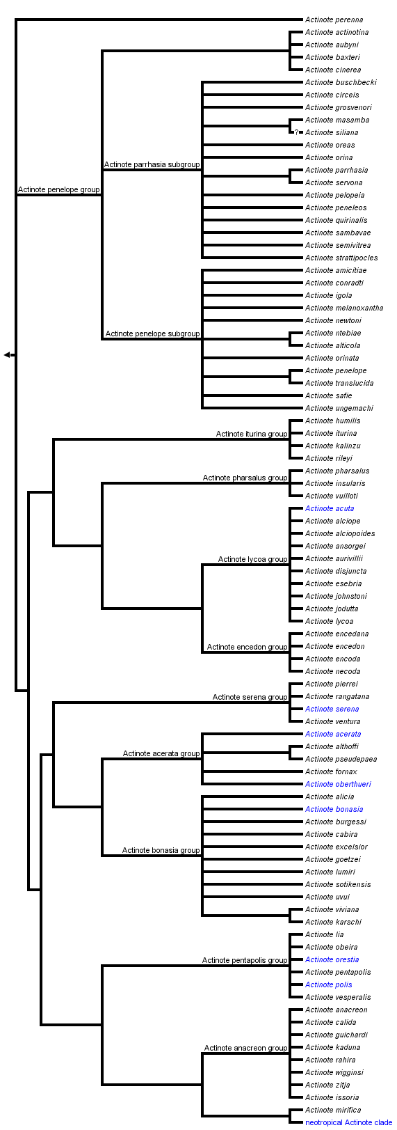 taxon links