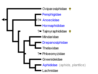 taxon links