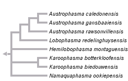 taxon links