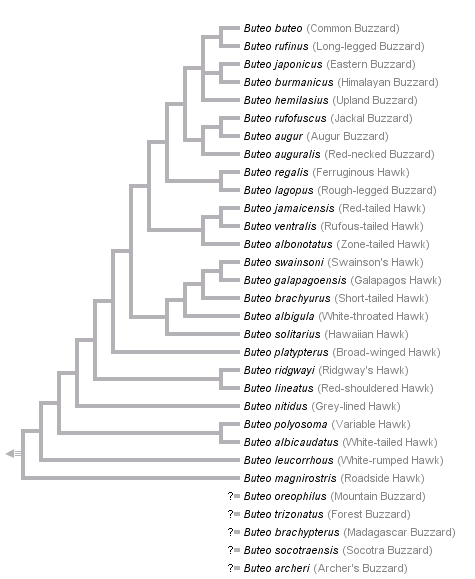 taxon links