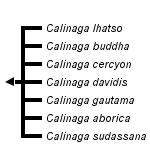 taxon links