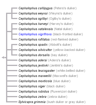 taxon links