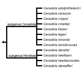 taxon links