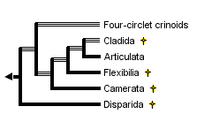 taxon links