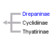 taxon links