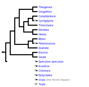 taxon links