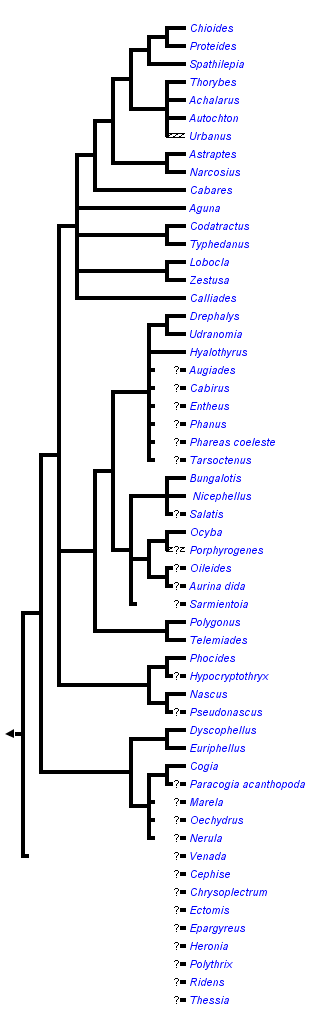 taxon links