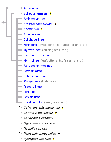 taxon links