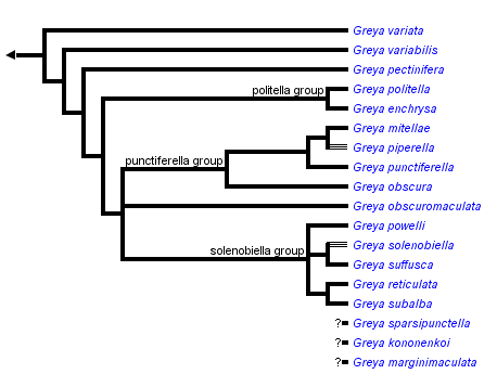 taxon links