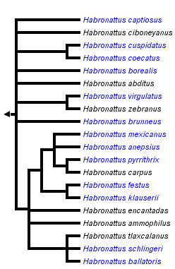 taxon links