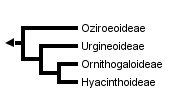 taxon links
