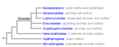 taxon links