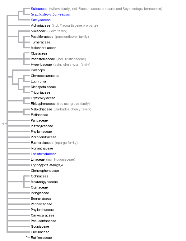 taxon links