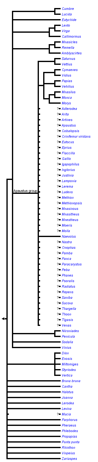 taxon links