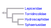 taxon links