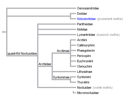 taxon links