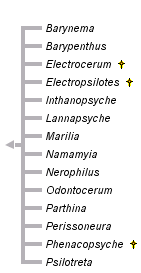 taxon links