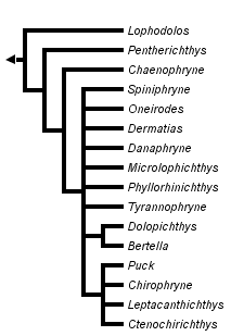 taxon links