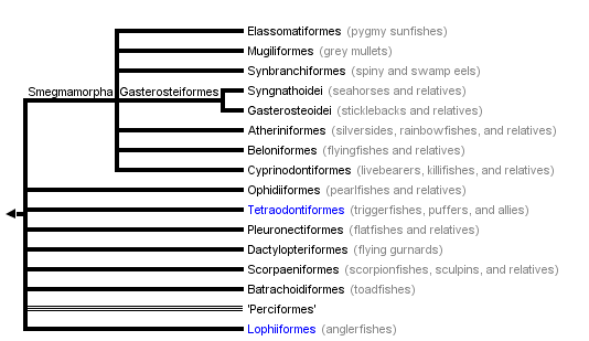 taxon links