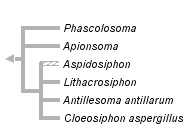 taxon links