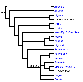 taxon links