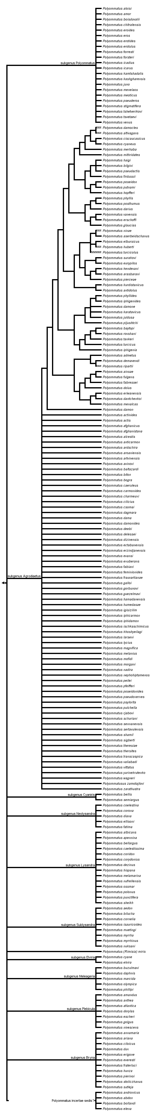 taxon links