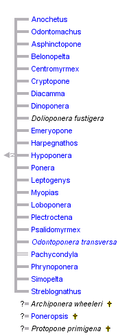 taxon links