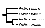 taxon links