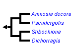 taxon links