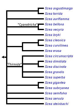 taxon links