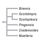 taxon links