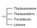 taxon links