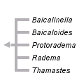 taxon links