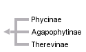 taxon links