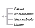 taxon links