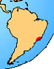 distribution of living members of the family Brachycephalidae